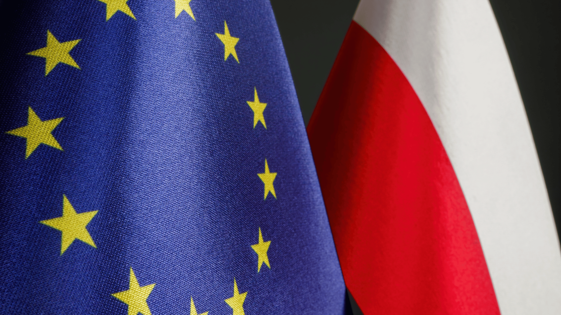 Usługa doradcza „Strategia wejścia na&nbsp;rynek zagraniczny”